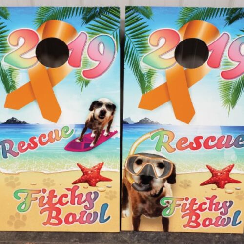 fitchy-bowl-cornhole-board