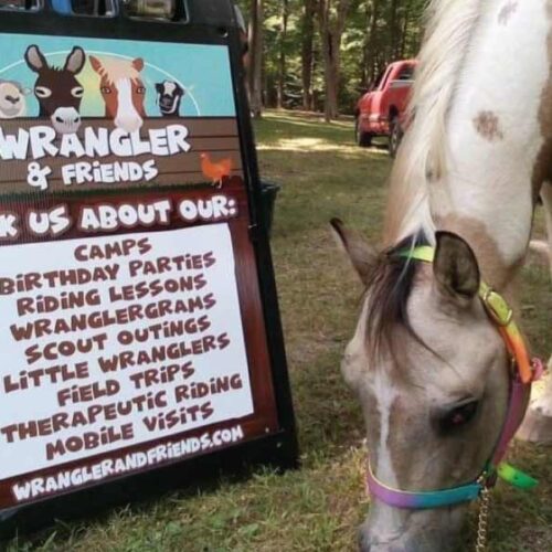 wrangler-and-friends-signicade